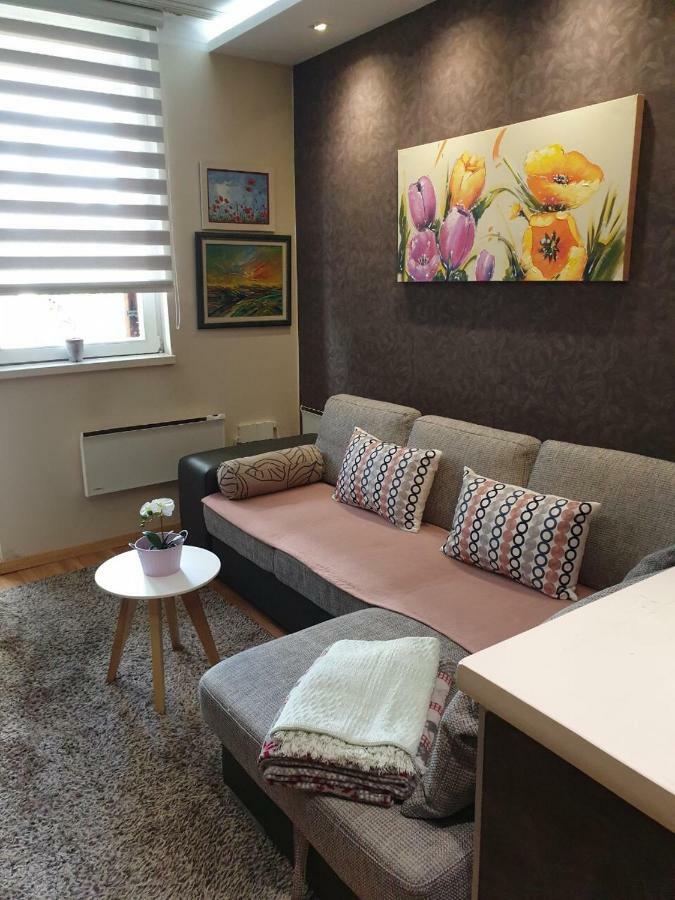 Apartment Marija Kopaonik Bagian luar foto